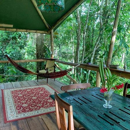 Colina Secreta - Glamping And Villas Puerto Viejo de Talamanca 외부 사진