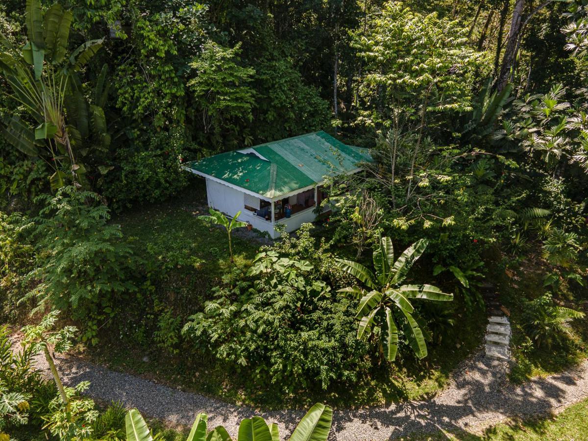 Colina Secreta - Glamping And Villas Puerto Viejo de Talamanca 외부 사진