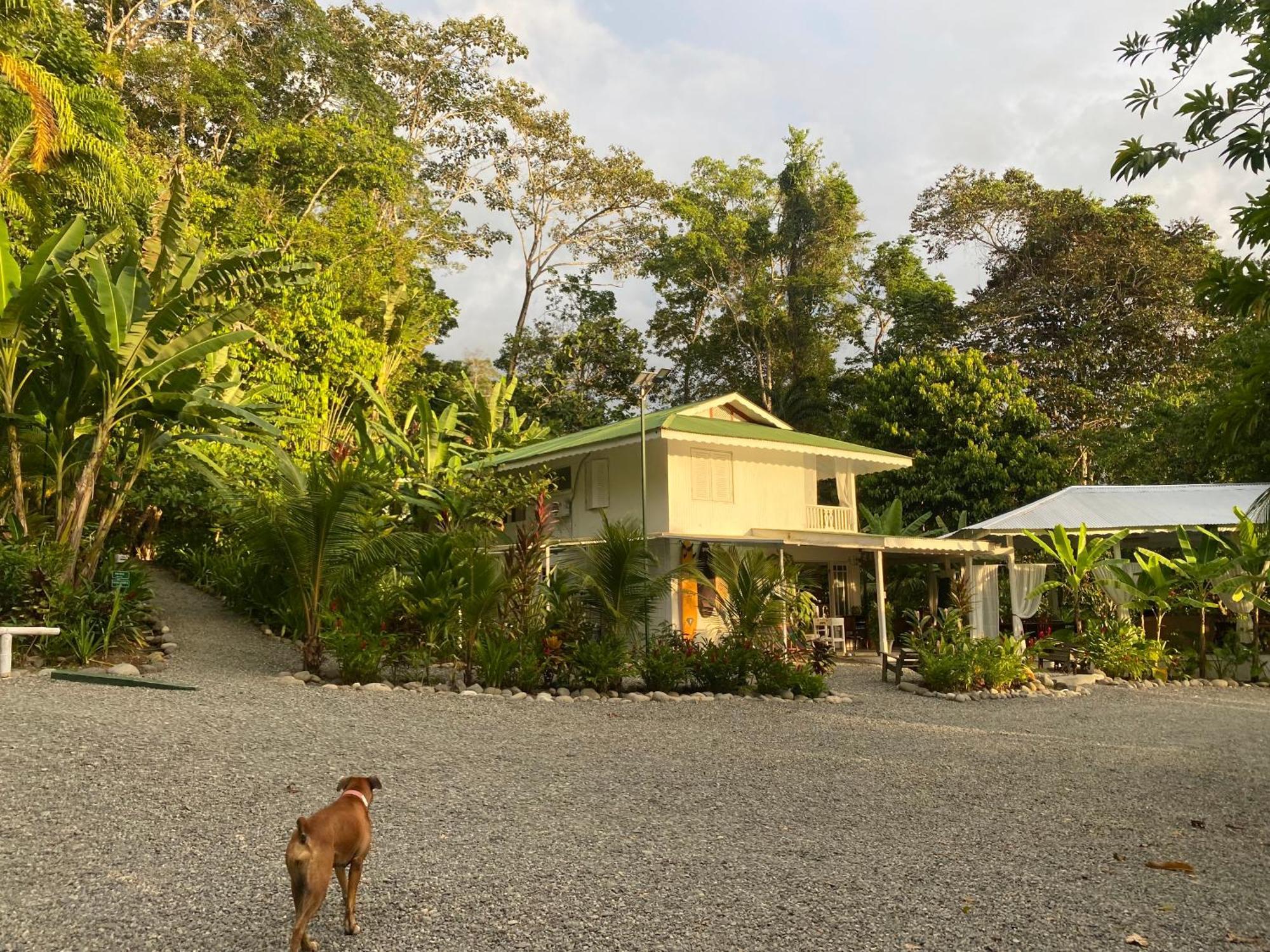 Colina Secreta - Glamping And Villas Puerto Viejo de Talamanca 외부 사진