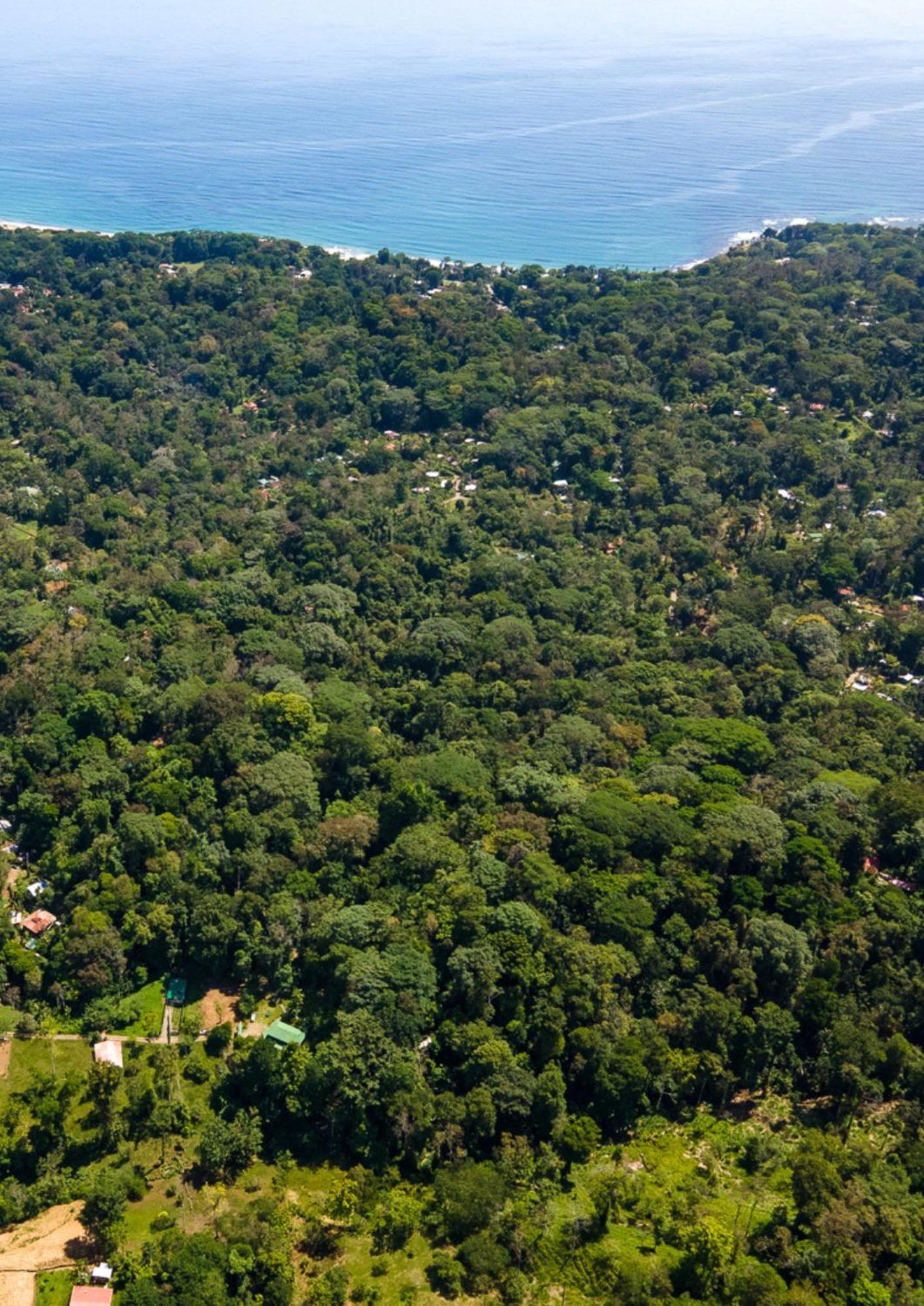 Colina Secreta - Glamping And Villas Puerto Viejo de Talamanca 외부 사진